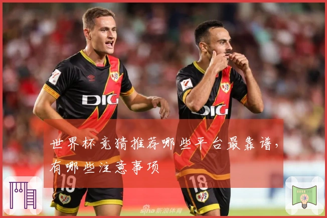 世界杯竞猜推荐哪些平台最靠谱，有哪些注意事项