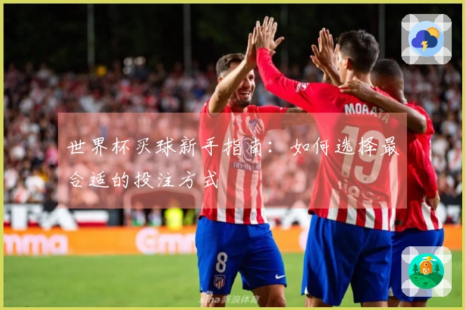 世界杯买球新手指南：如何选择最合适的投注方式