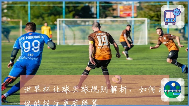 世界杯让球买球规则解析，如何让你的投注更有胜算