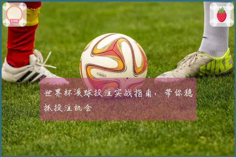 世界杯滚球投注实战指南，带你稳抓投注机会