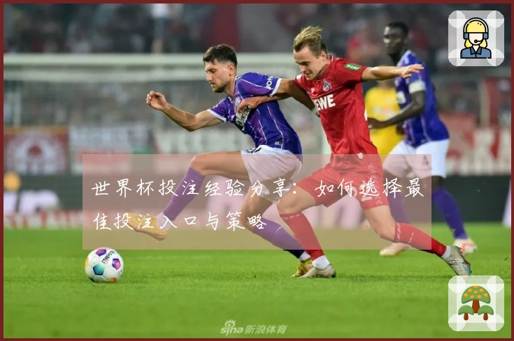 世界杯投注经验分享：如何选择最佳投注入口与策略