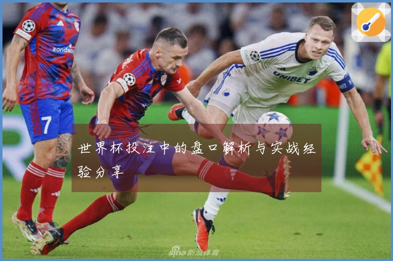 世界杯投注中的盘口解析与实战经验分享