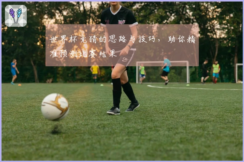 世界杯竞猜的思路与技巧，助你精准预测比赛结果