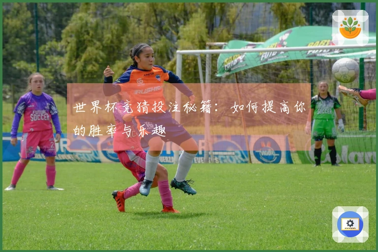 世界杯竞猜投注秘籍：如何提高你的胜率与乐趣