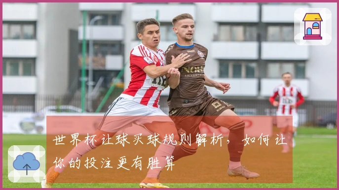 世界杯让球买球规则解析，如何让你的投注更有胜算