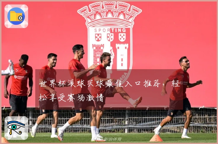 世界杯滚球买球最佳入口推荐，轻松享受赛场激情
