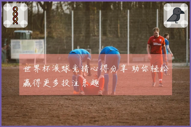 世界杯滚球竞猜心得分享 助你轻松赢得更多投注乐趣