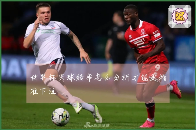 世界杯买球赔率怎么分析才能更精准下注