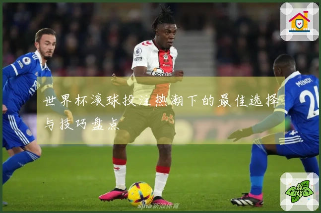 世界杯滚球投注热潮下的最佳选择与技巧盘点