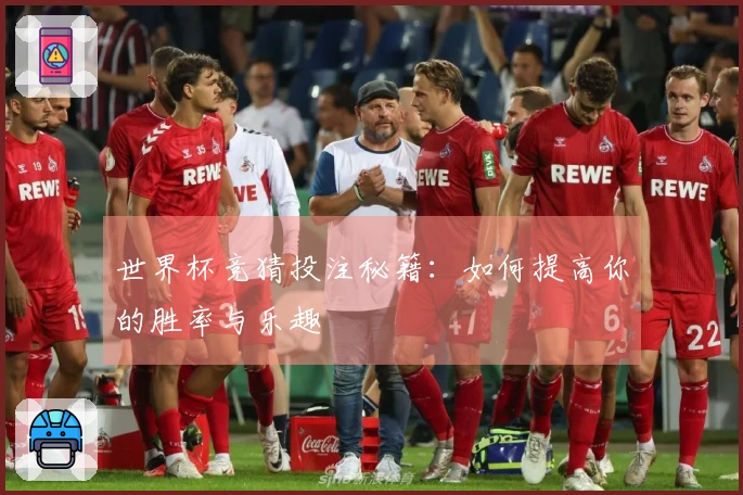 世界杯竞猜投注秘籍：如何提高你的胜率与乐趣