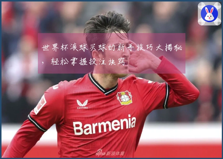 世界杯滚球买球的新手技巧大揭秘，轻松掌握投注诀窍