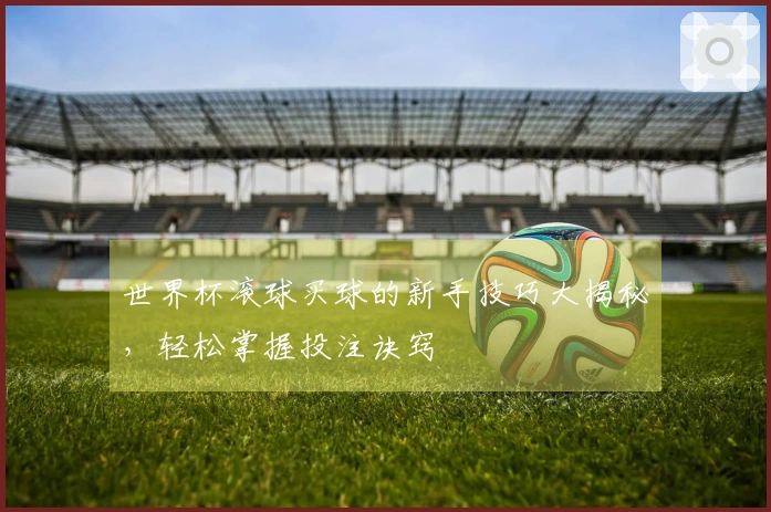 世界杯滚球买球的新手技巧大揭秘，轻松掌握投注诀窍