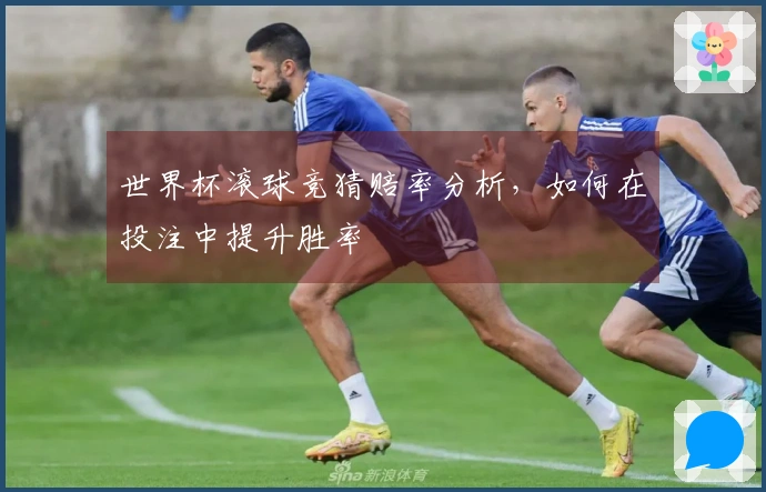 世界杯滚球竞猜赔率分析，如何在投注中提升胜率