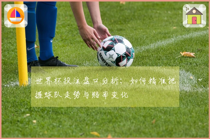 世界杯投注盘口分析：如何精准把握球队走势与赔率变化